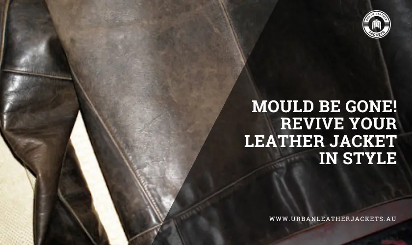 Mould-Be-Gone-Graphic-Image